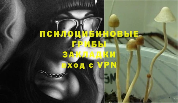 mdma Зеленокумск