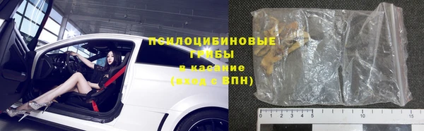 стафф Зерноград