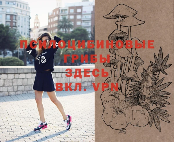стафф Зерноград