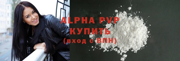 хмурый Инсар