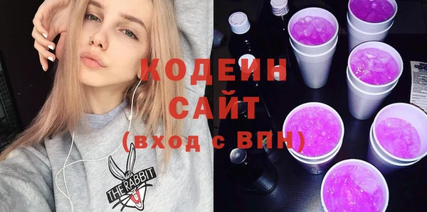 хмурый Инсар