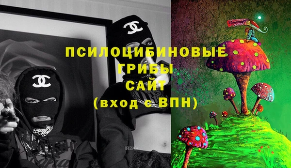 а пвп мука Инта