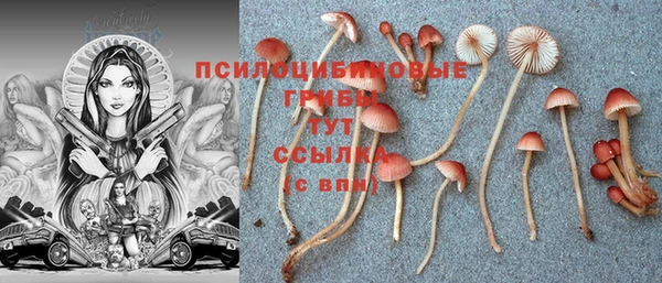 а пвп мука Инта