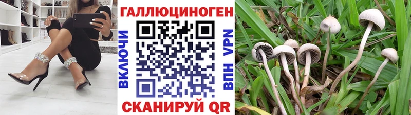 Псилоцибиновые грибы мухоморы  Купить где  Зея 