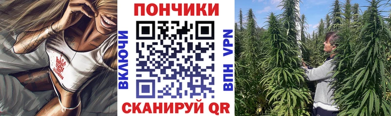Каннабис планчик Купить Зея